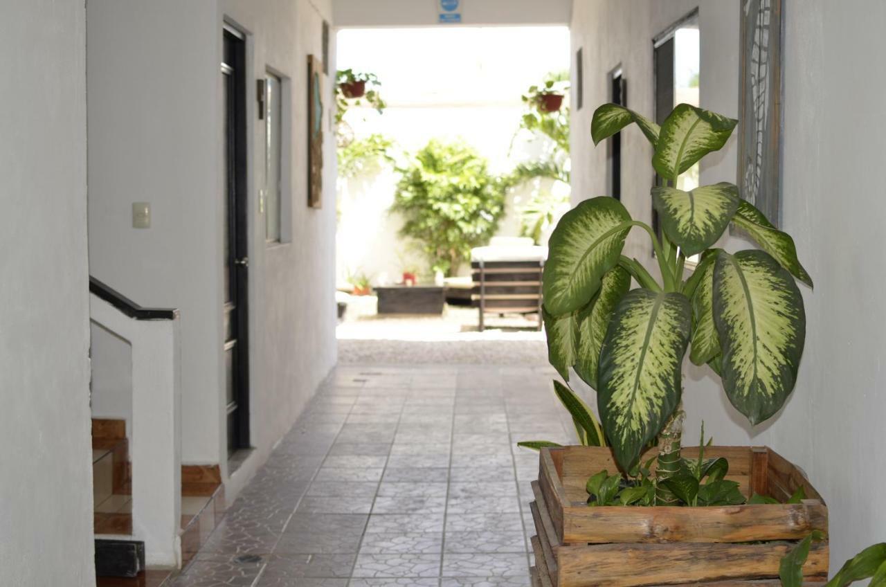 Hotel Nicte Ha Tulum Ngoại thất bức ảnh